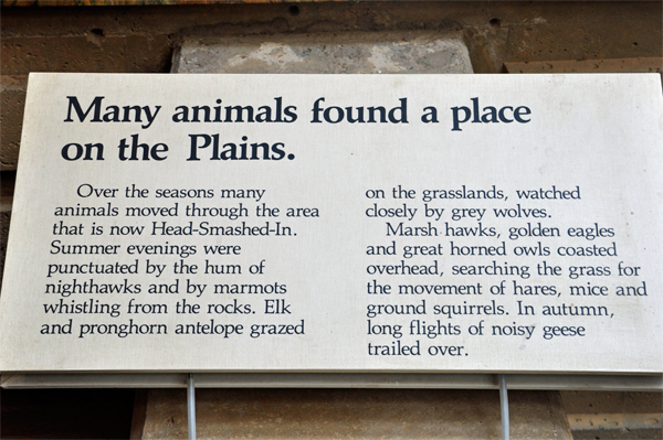 signs about animals on the Plains