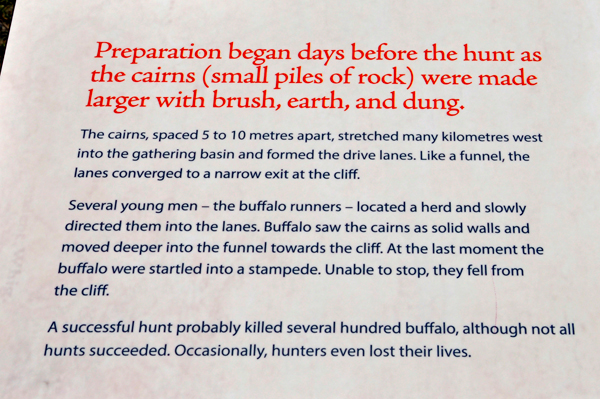 sign about Buffalo Jump Preparation