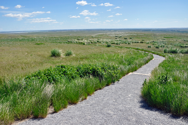 Intrepretive trail hike