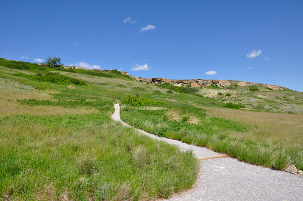 Intrepretive trail hike