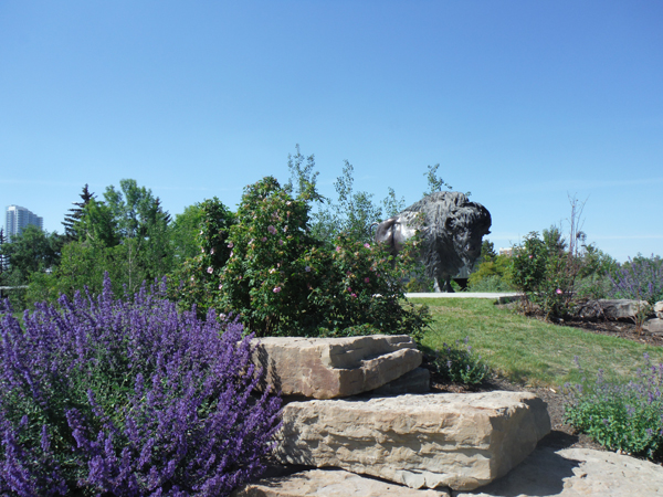 buffalo statue