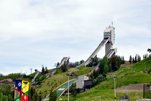 Olympic luge