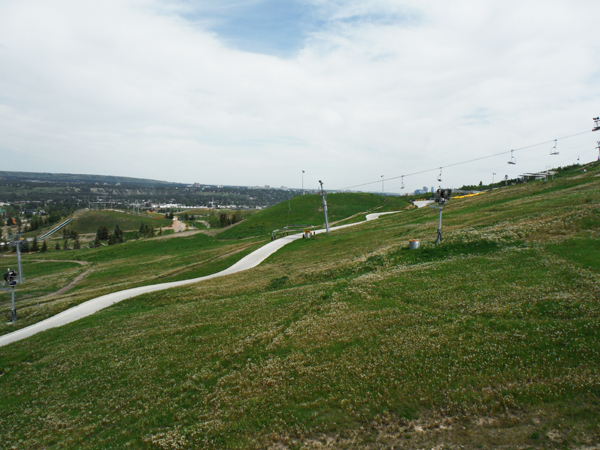 Luge track