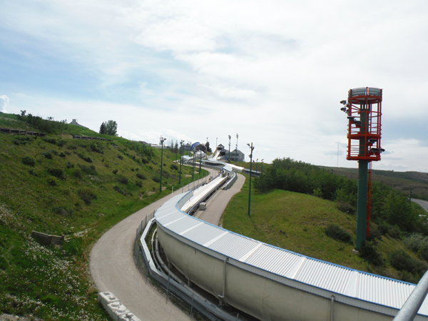 Professional luge track