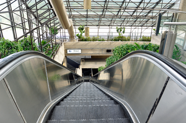 the steep escalator