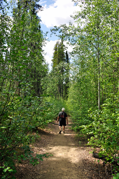 Lee Duqette and Yukon's tall trees