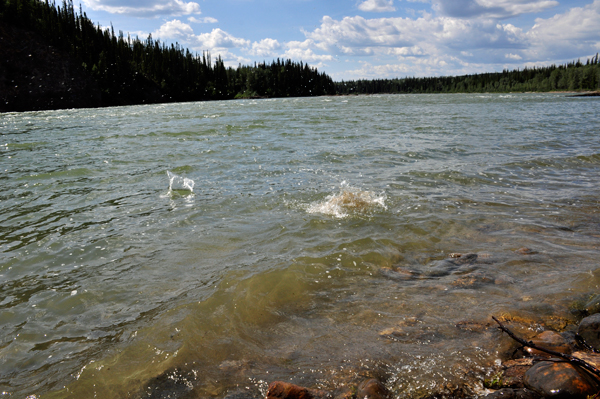 skipping rocks into Liard River