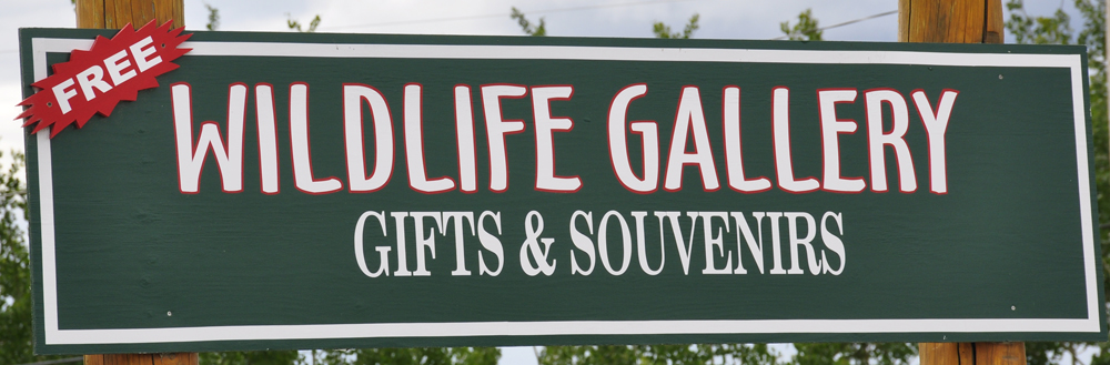 Wildlife Gallery sign