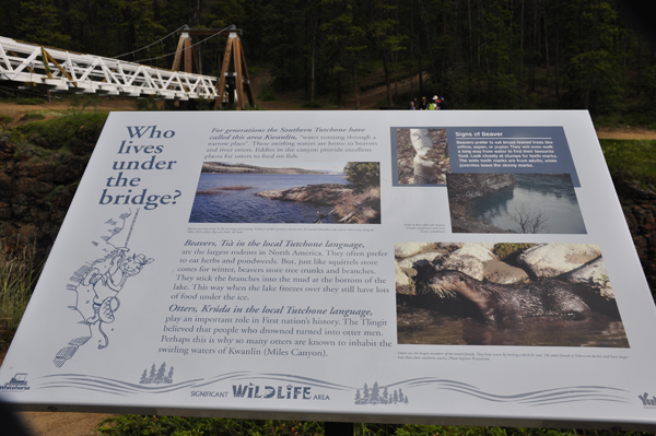 sign about who lives under the bridge