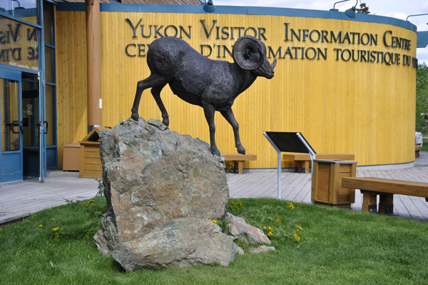 Under The Midnight Sun goat statue