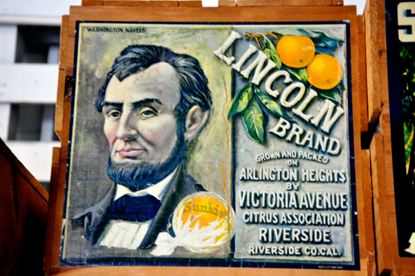 Lincoln brand oranges