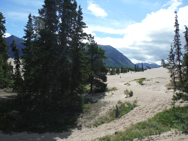 Carcross Desert Dunes