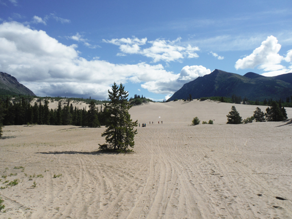 Carcross Desert Dunes