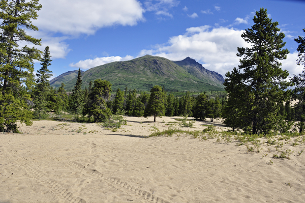 Carcross Desert Dunes