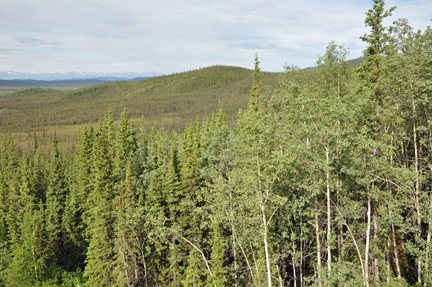 Tetlin National Wildlife Refuge 