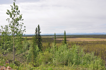Tetlin National Wildlife Refuge 