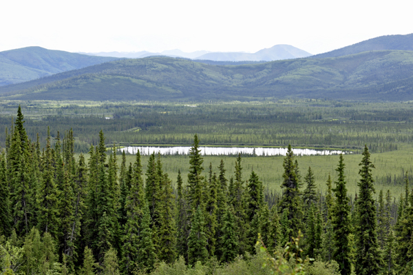 scenery at the Tetlin National Wildlife Refuge Visitor Center