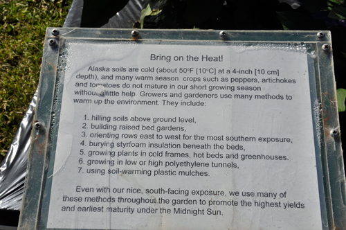 growth and heat sign