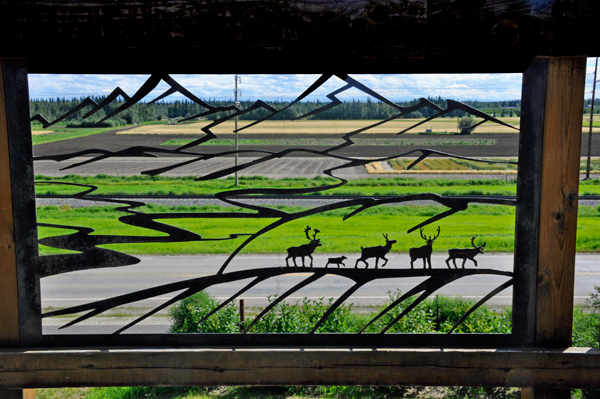 view through the fence