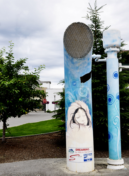 painted air vent pipe in Fairbanks AK