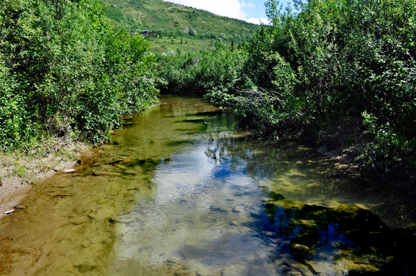 river stream