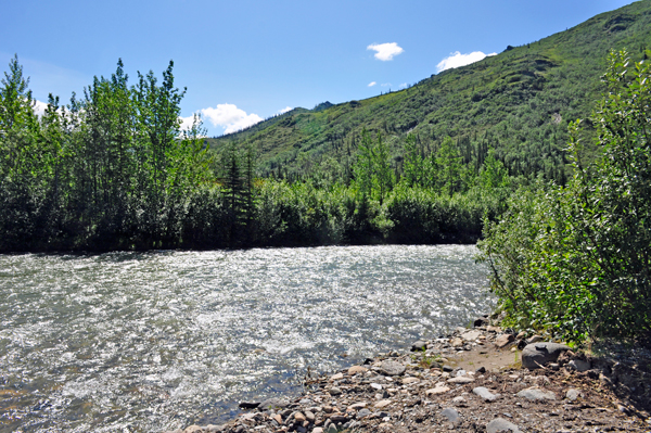 Kantishna River
