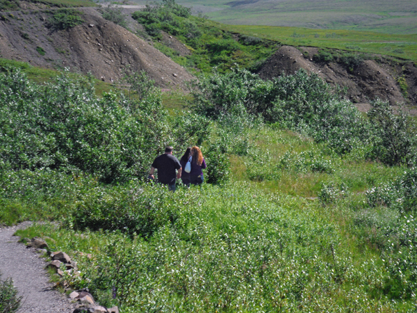 exploring Kantishna