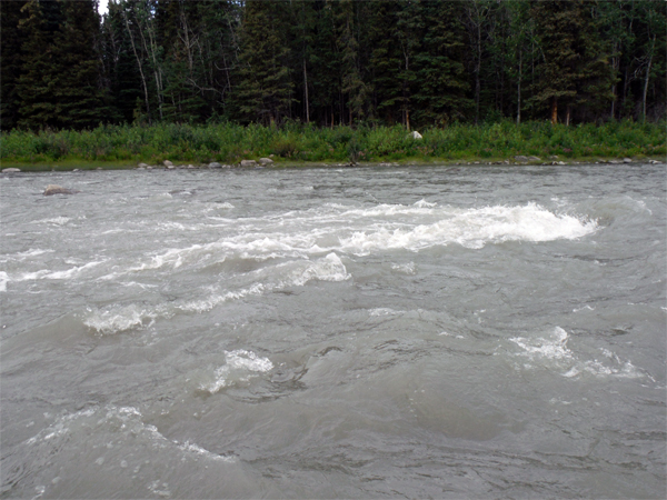 rapids