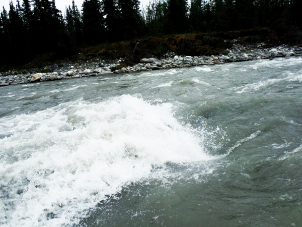 rapids