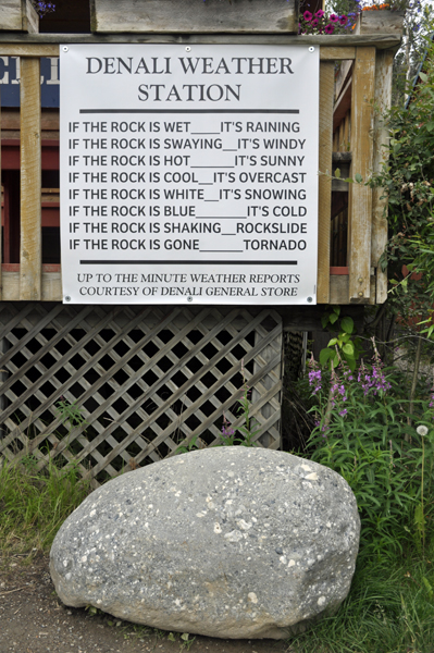weather rock in Denali