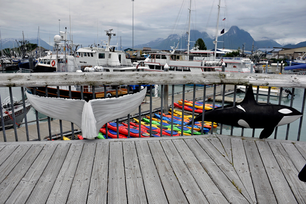 whale tail and a dolphin on a fence