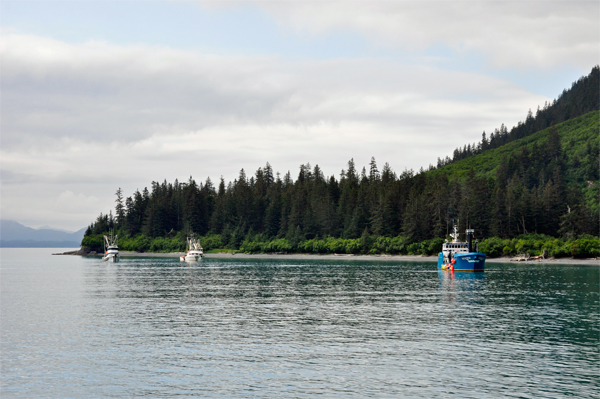 Boats in the harbor inlet