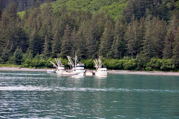 fishing boats