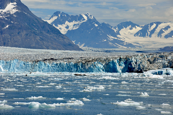 The Meares Glacier