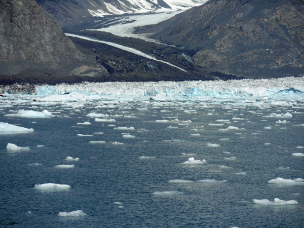 The Meares Glacier