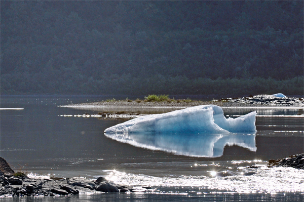 ice chunk and reflection