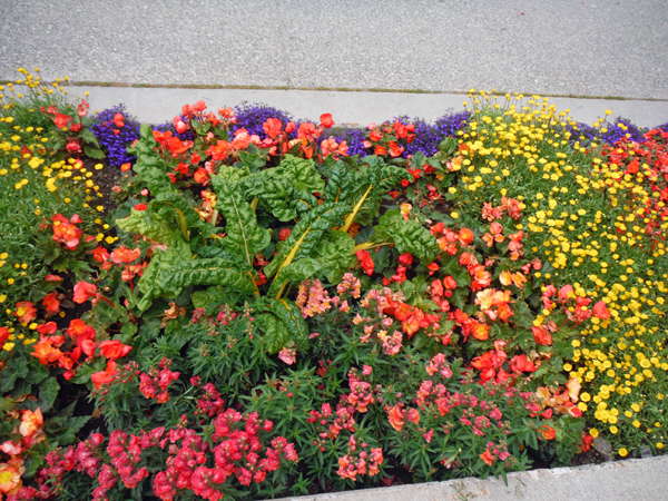 flowers