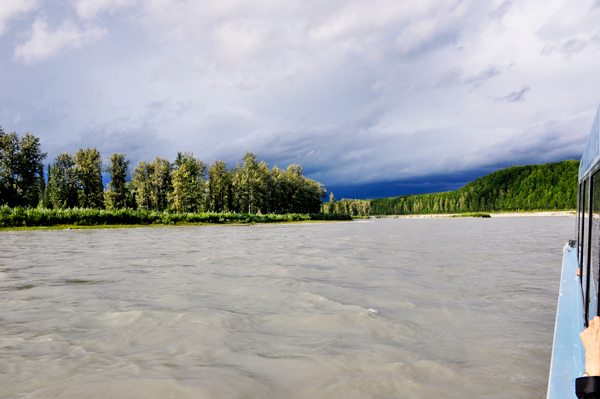 scenery on the river