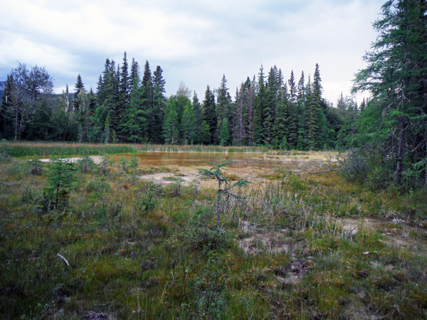 Liard River Hot Springs