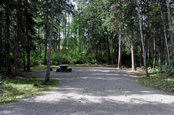 site 46 at Liard River Hot Springs