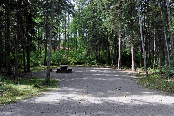 site 46 at Liard River Hot Springs