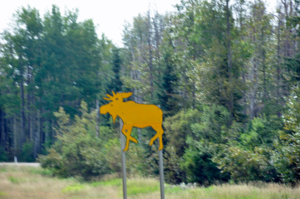 moose sign