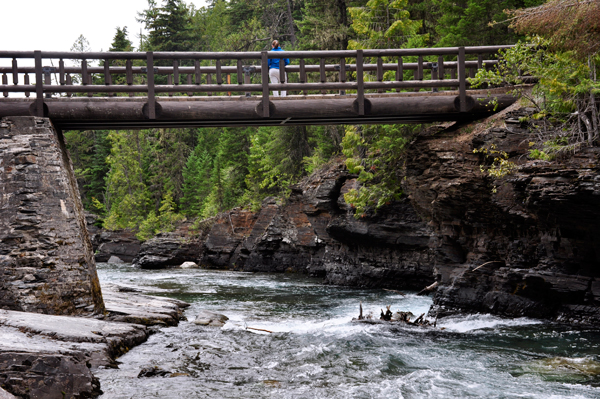 bridge at Avalanche Creek