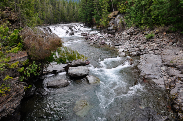 Avalanche Creek