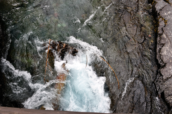 Avalanche Creek