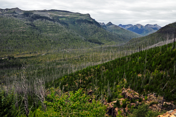 scenery in Glacier National Park USA