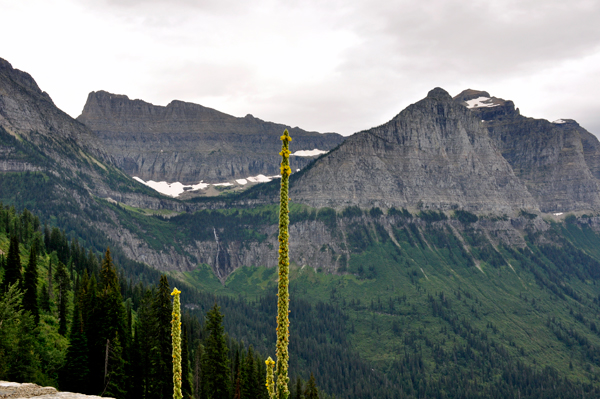 sharp-edged arete