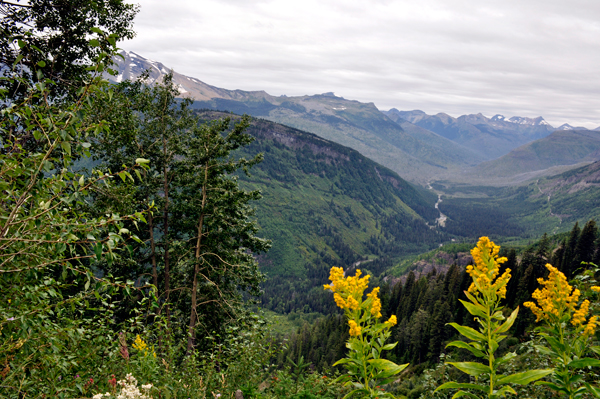 scenery in Glacier National Park