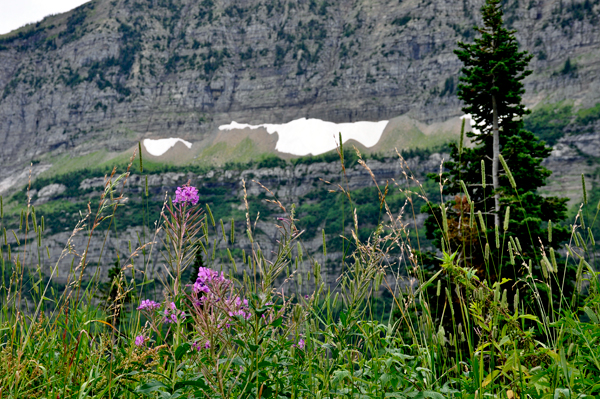 snow patches on the mountain