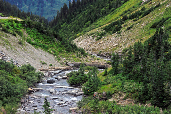 Siyeh Creek